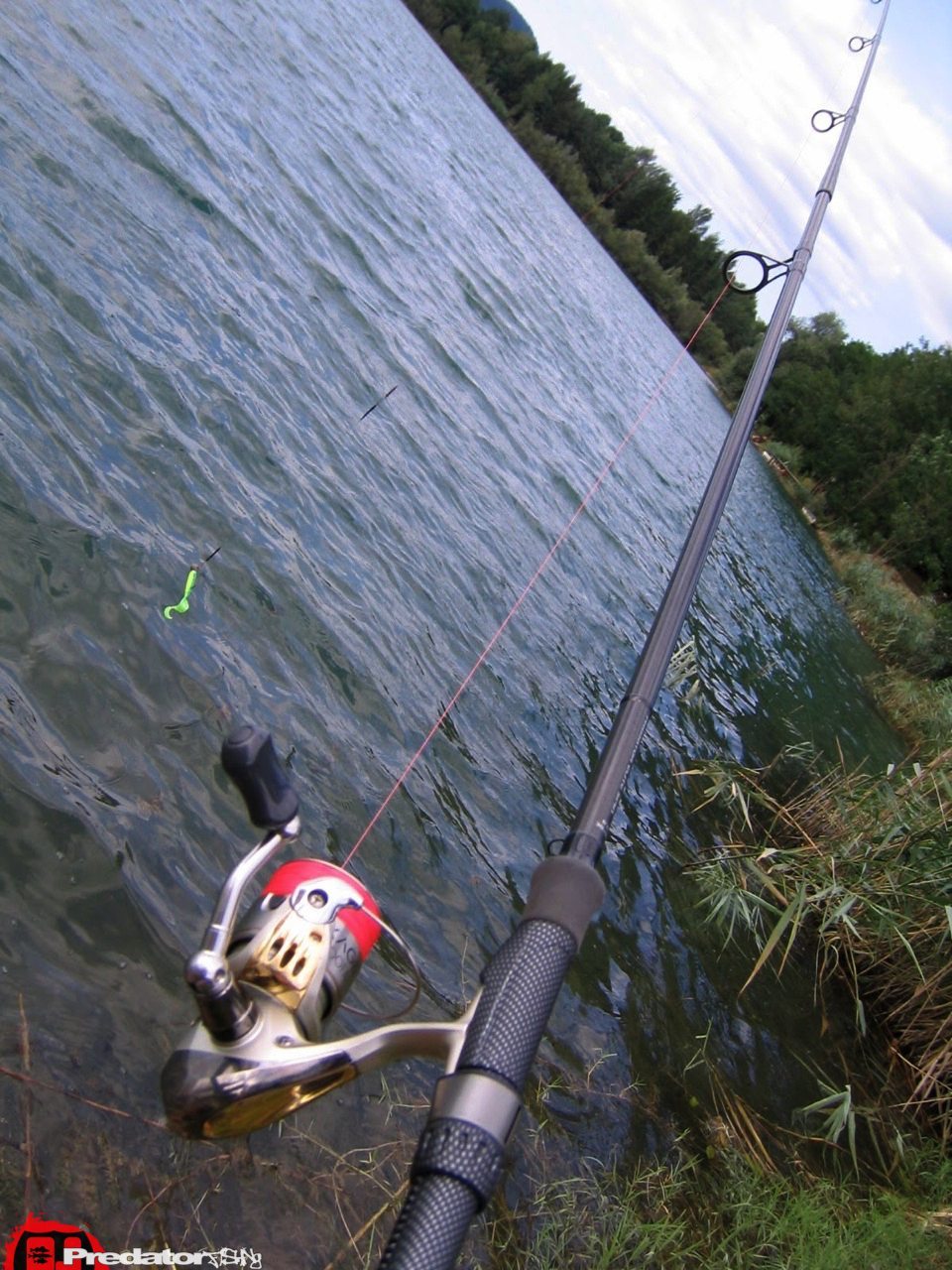 FOX Predator Elite Spin