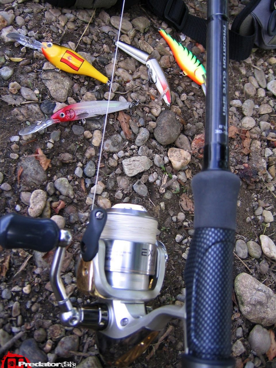 FOX Predator Elite Spin