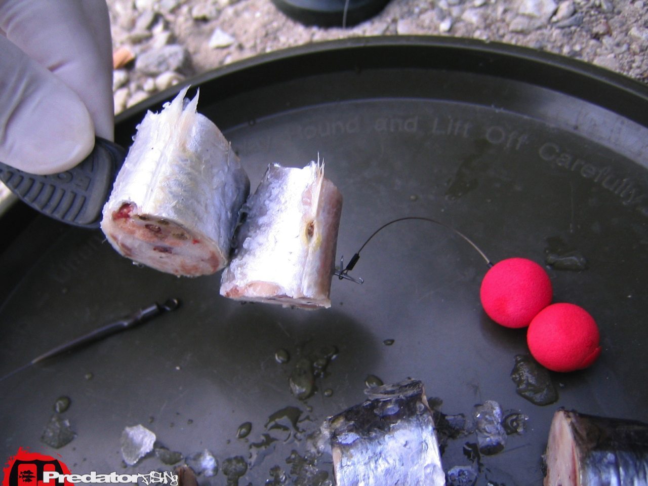 FOX Predator Kebab Rig