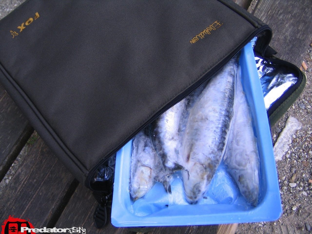 FOX Predator Kebab Rig