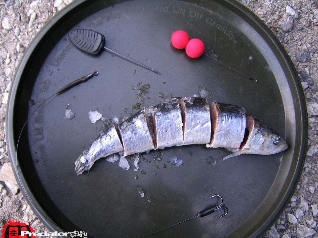 FOX Predator Kebab Rig