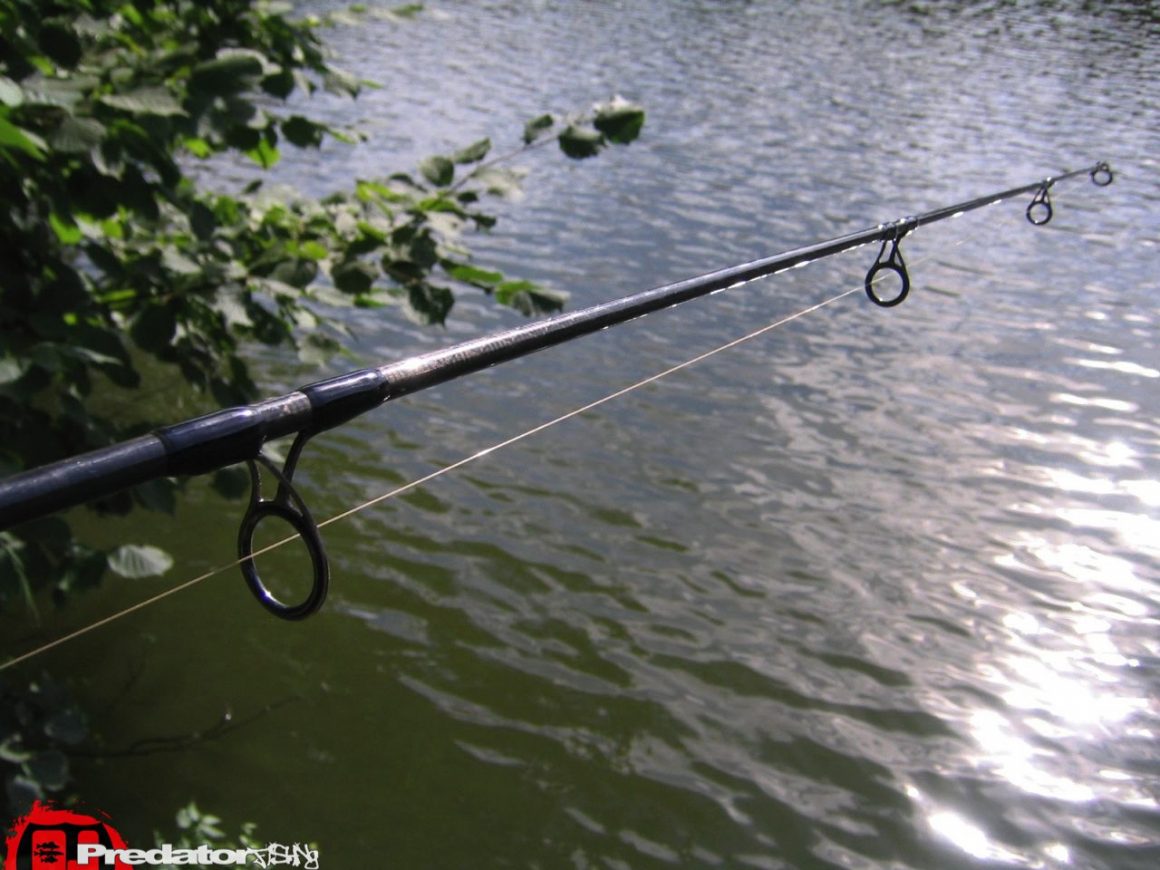 Predator Elite Bank Rods