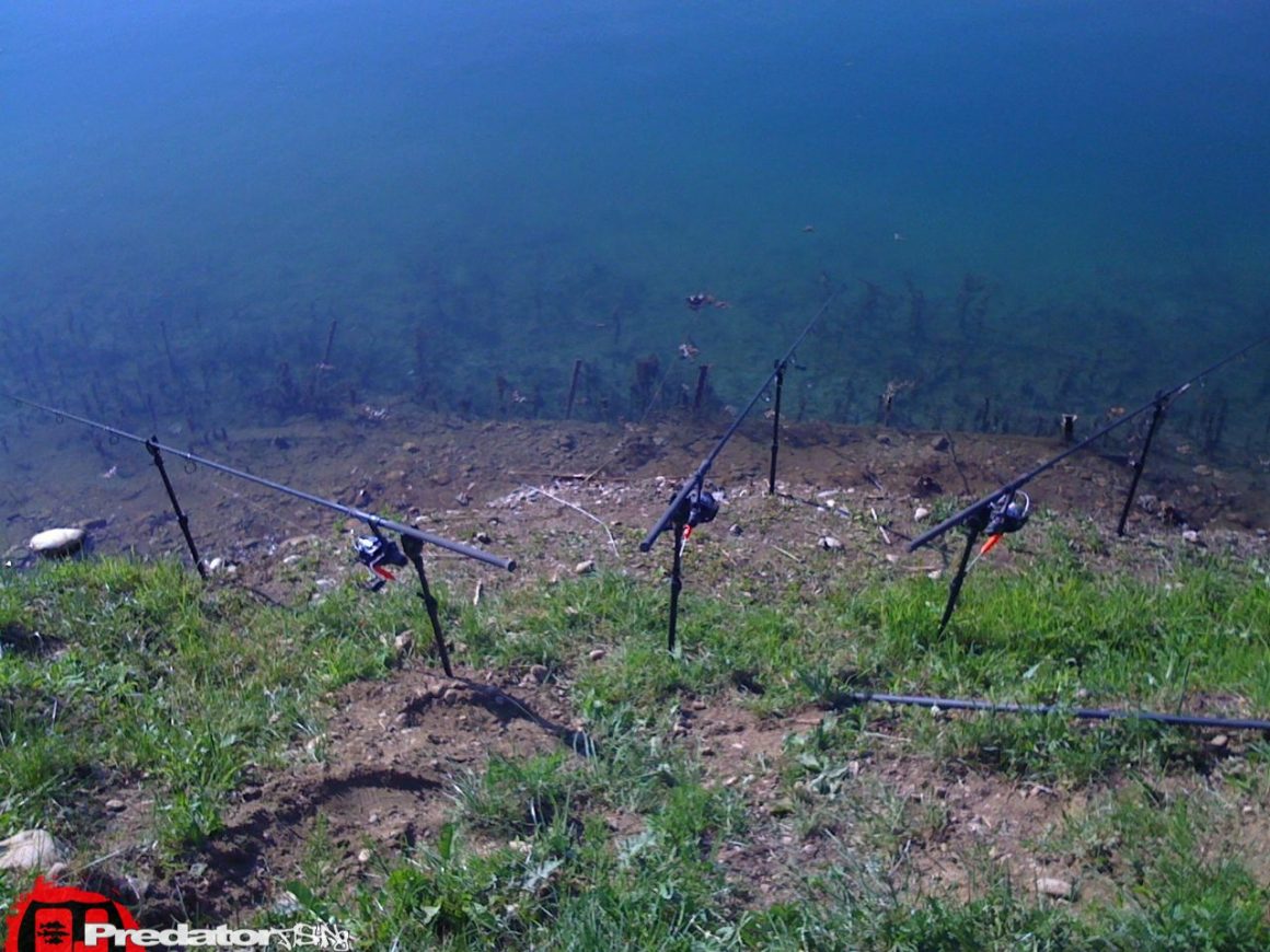 Predator Elite Bank Rods