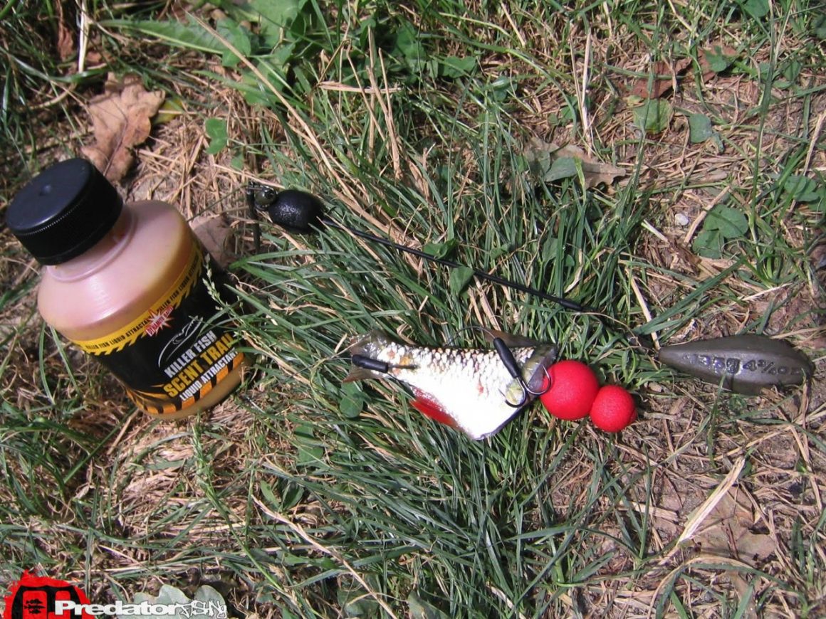 Raubfisch Lockstoffe