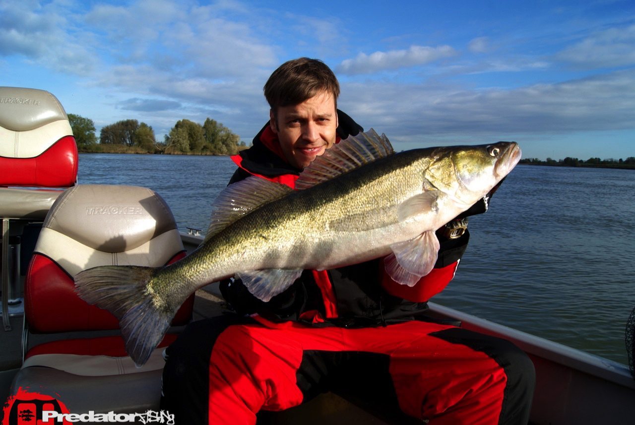 FOX-Rage-Teammeeting auf Hecht Zander Barsch