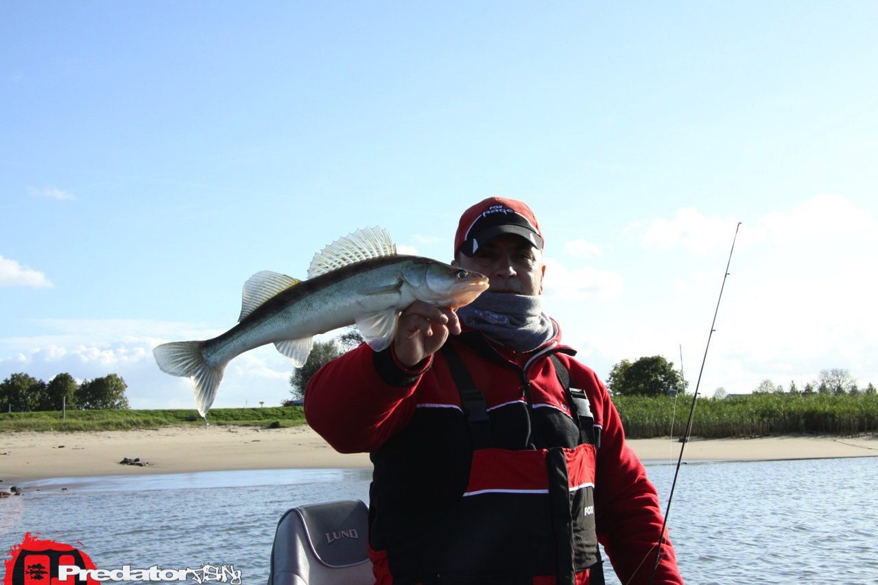 FOX-Rage-Teammeeting auf Hecht Zander Barsch
