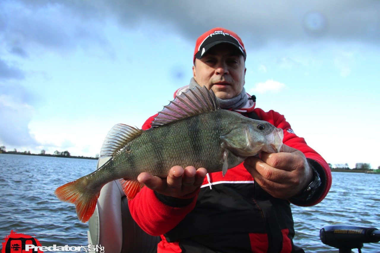 FOX-Rage-Teammeeting auf Hecht Zander Barsch