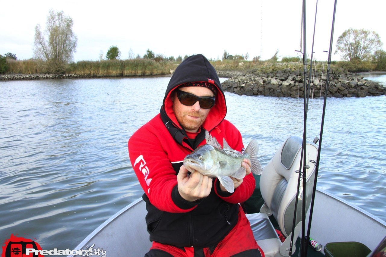 FOX-Rage-Teammeeting auf Hecht Zander Barsch