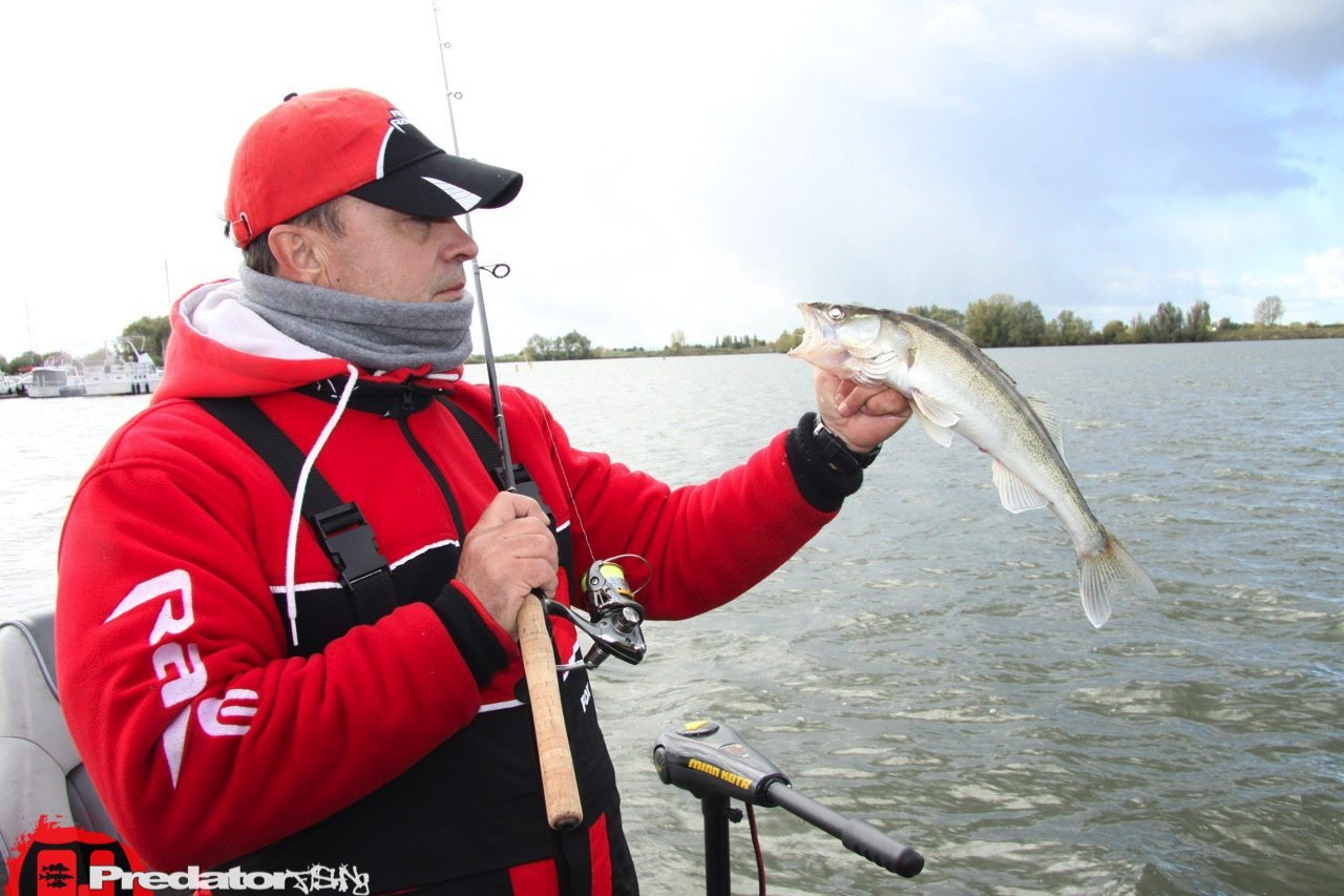 FOX-Rage-Teammeeting auf Hecht Zander Barsch