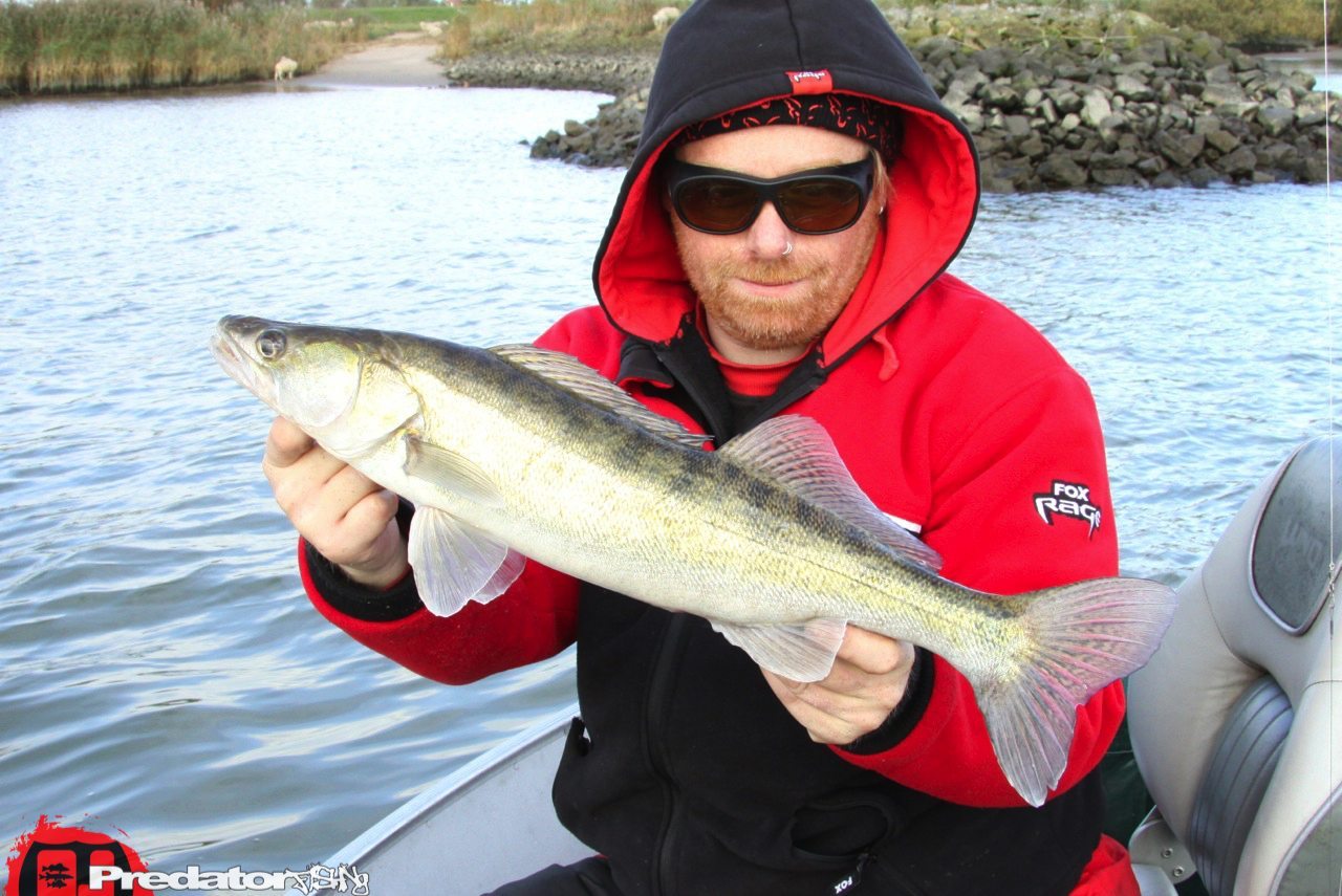 FOX-Rage-Teammeeting auf Hecht Zander Barsch