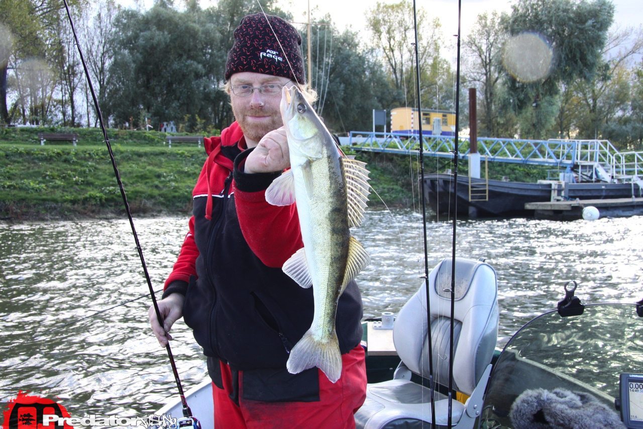 FOX-Rage-Teammeeting auf Hecht Zander Barsch