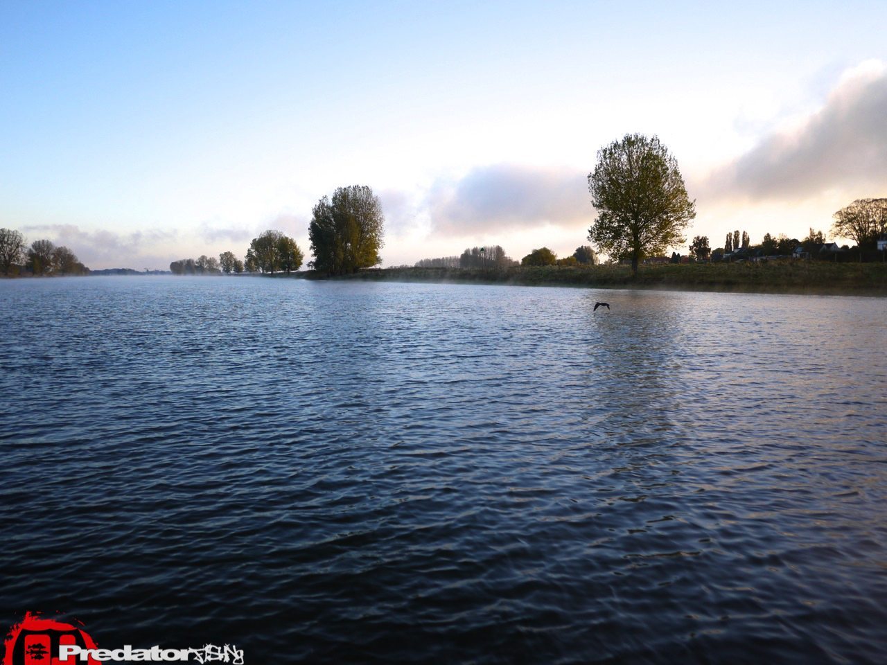 FOX-Rage-Teammeeting auf Hecht Zander Barsch