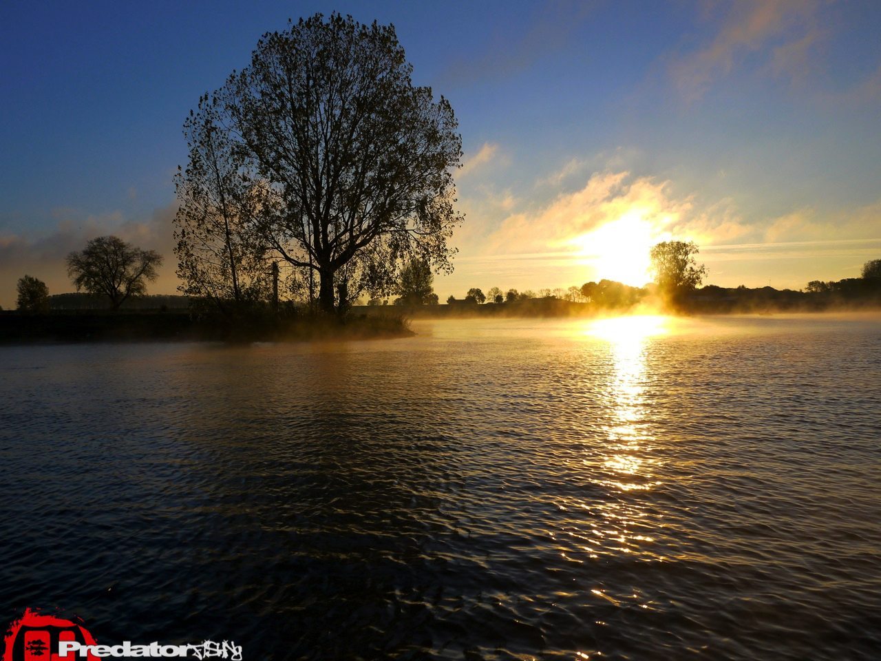 FOX-Rage-Teammeeting auf Hecht Zander Barsch