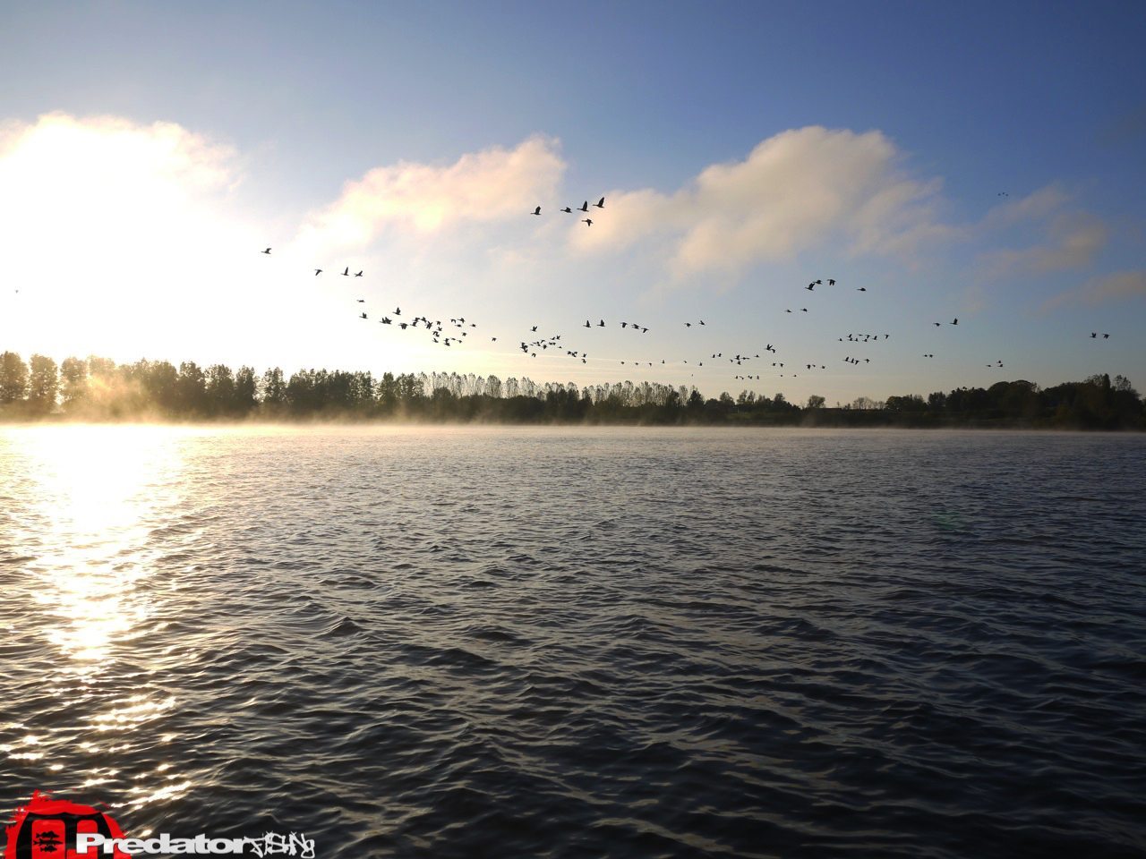 FOX-Rage-Teammeeting auf Hecht Zander Barsch