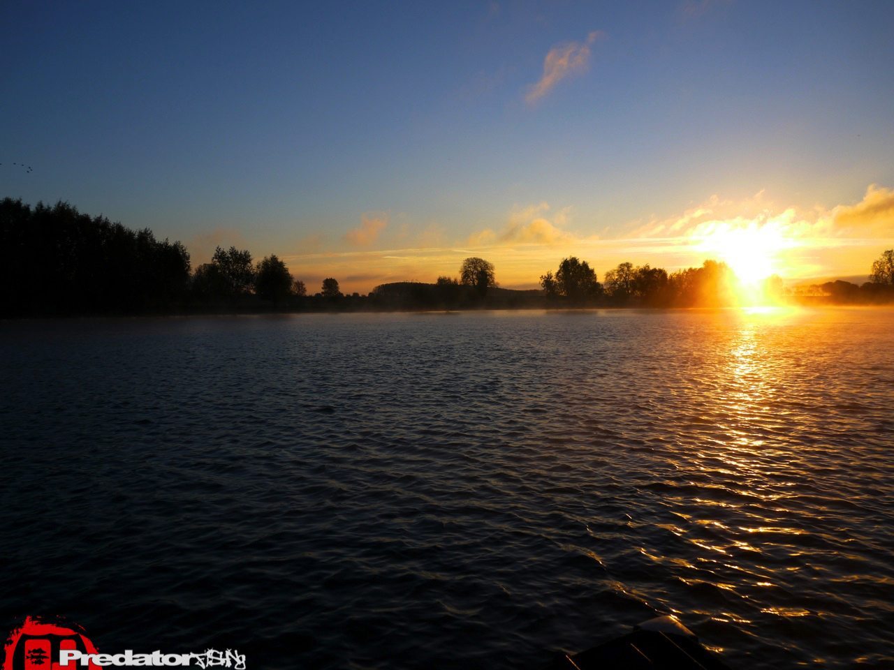 FOX-Rage-Teammeeting auf Hecht Zander Barsch