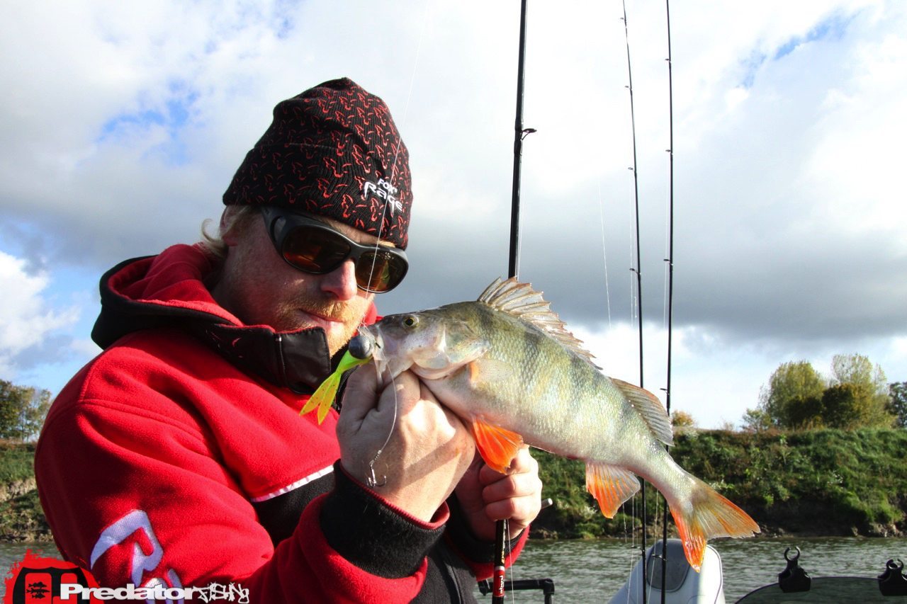 FOX-Rage-Teammeeting auf Hecht Zander Barsch