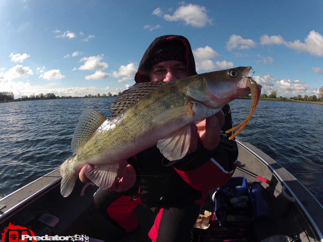 FOX-Rage-Teammeeting auf Hecht Zander Barsch