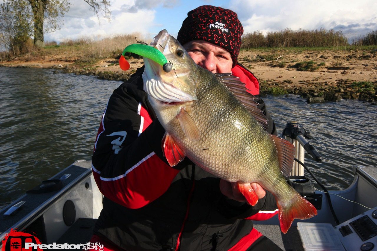 FOX-Rage-Teammeeting auf Hecht Zander Barsch