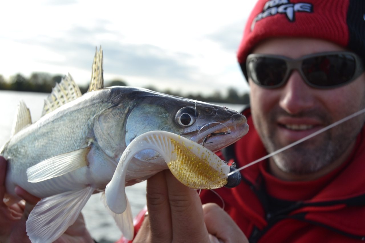 FOX-Rage-Teammeeting auf Hecht Zander Barsch