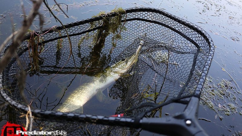 FOX Rage Speedflow Compact