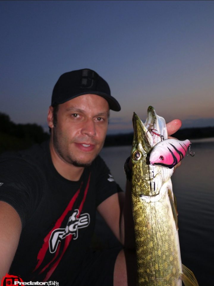 FOX Rage Hitcher Custom Edition - Pink-Virgin