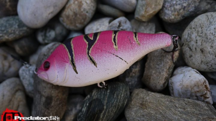 FOX Rage Hitcher Custom Edition - Pink-Virgin