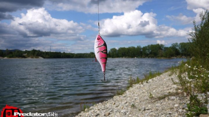 FOX Rage Hitcher Custom Edition - Pink-Virgin