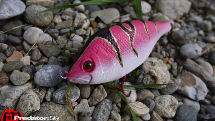 FOX Rage Hitcher Custom Edition - Pink-Virgin