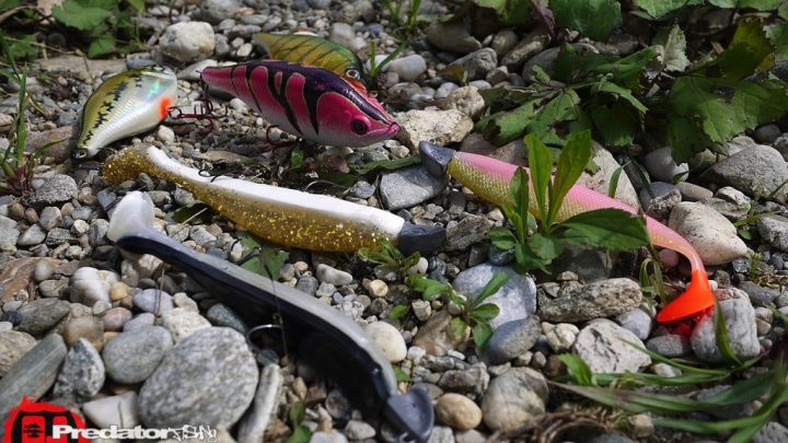 FOX Rage Hitcher Custom Edition - Pink-Virgin