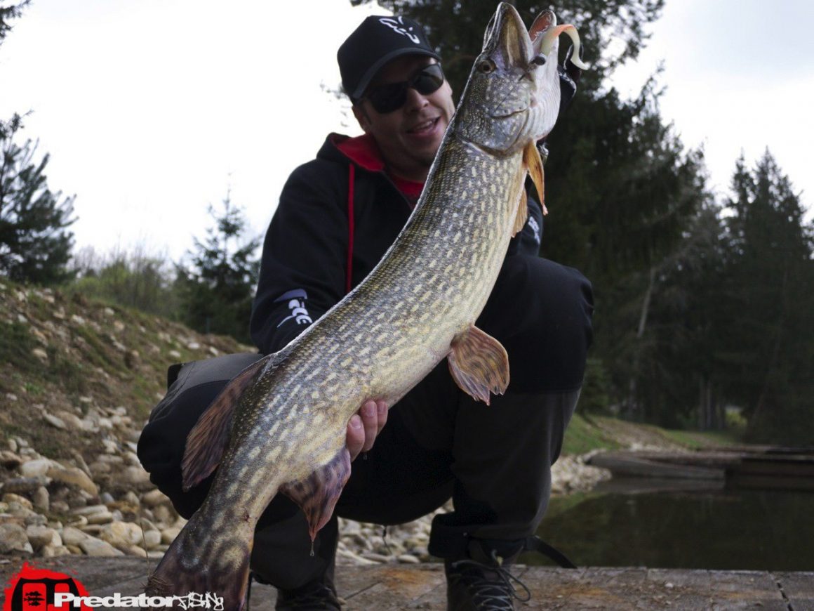 FOX-Rage-ULTRON-Spinning