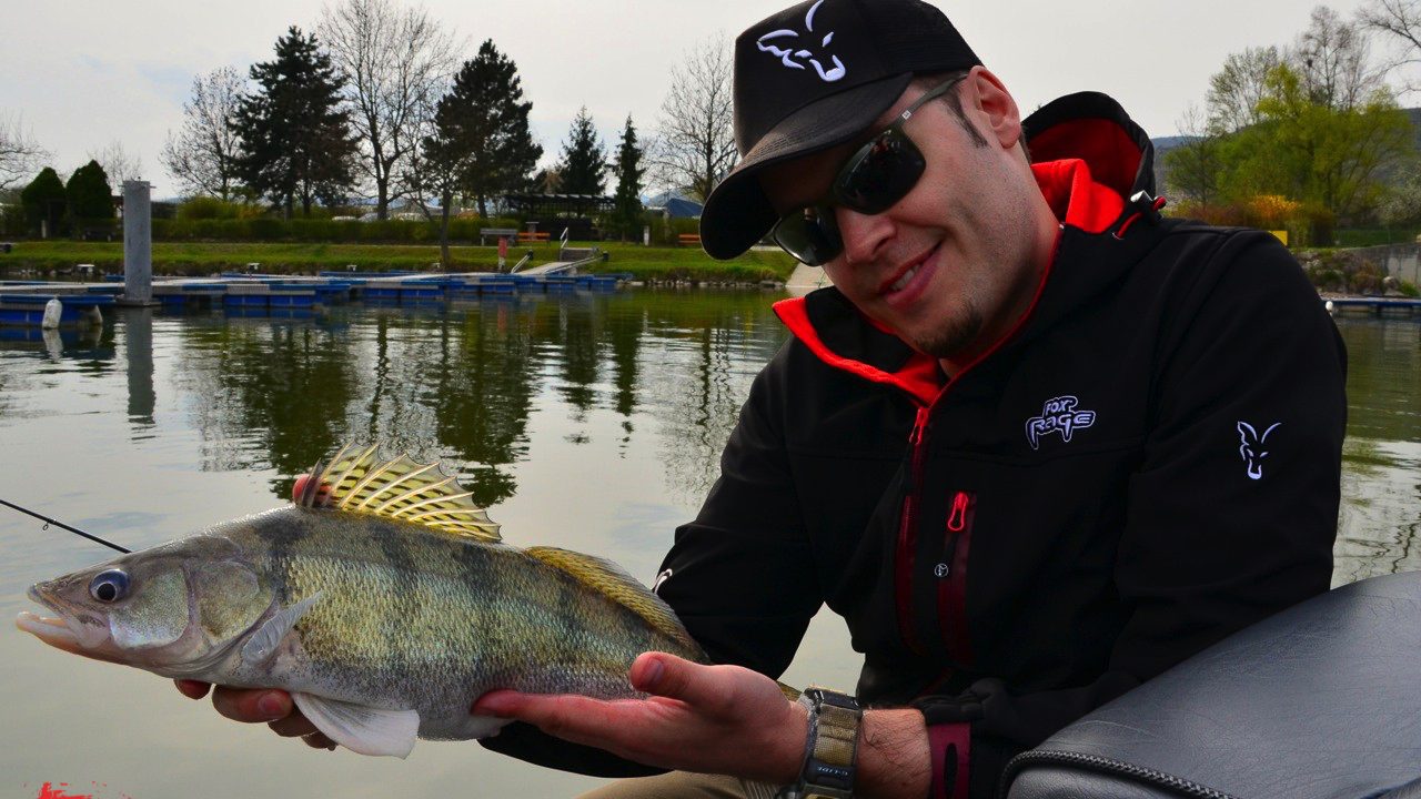MIt FOX Rage auf fette Zander und Barsche in der Donau