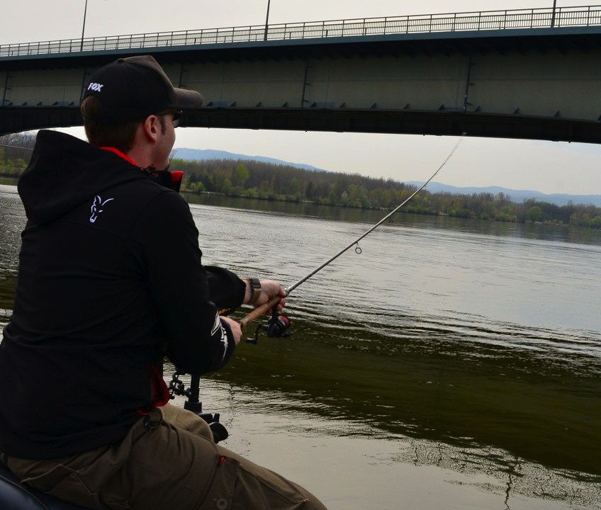 MIt FOX Rage auf fette Zander und Barsche in der Donau