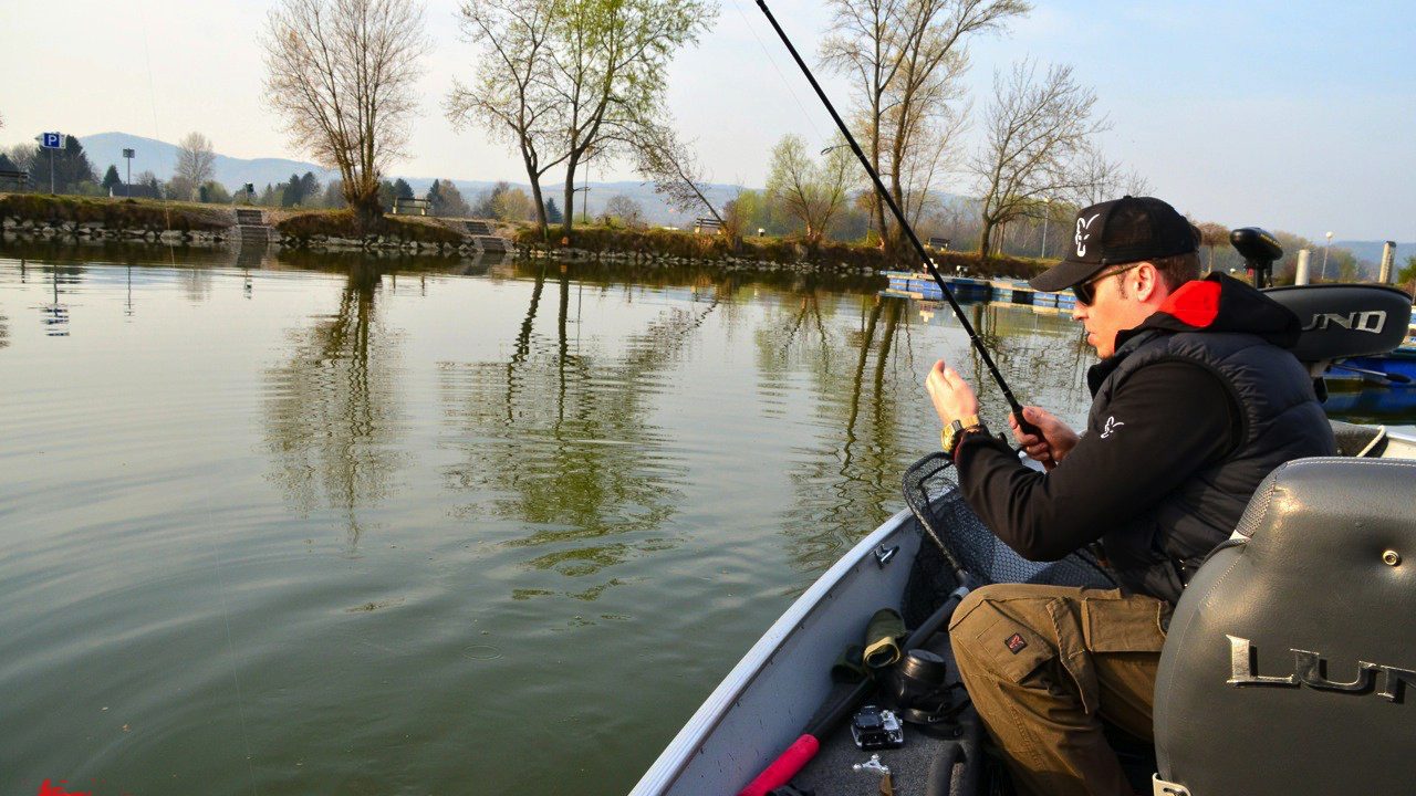 MIt FOX Rage auf fette Zander und Barsche in der Donau