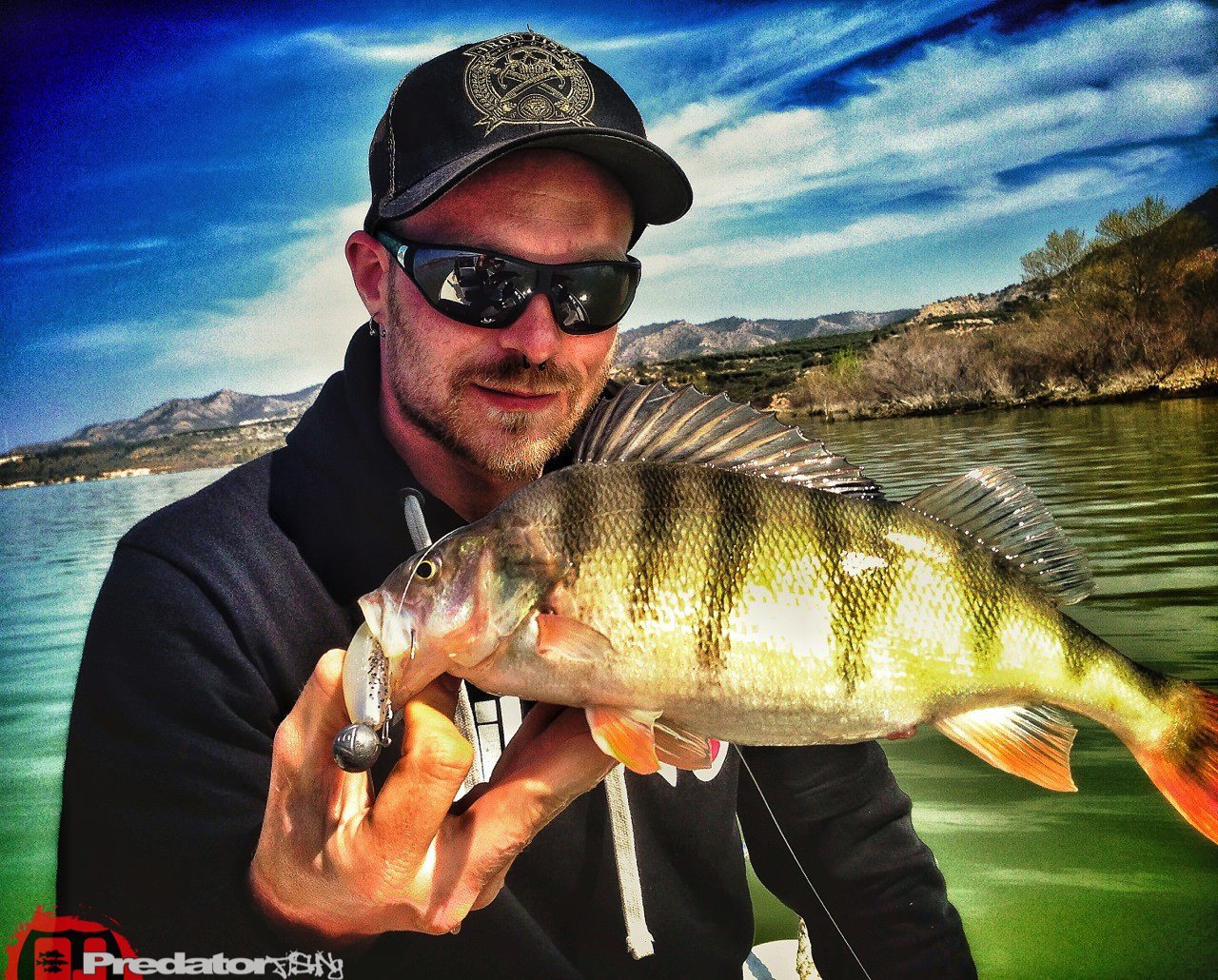 Zander Barsch und Wels am Rio Ebro in Spanien