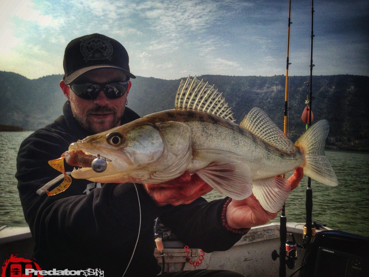 Zander Barsch und Wels am Rio Ebro in Spanien