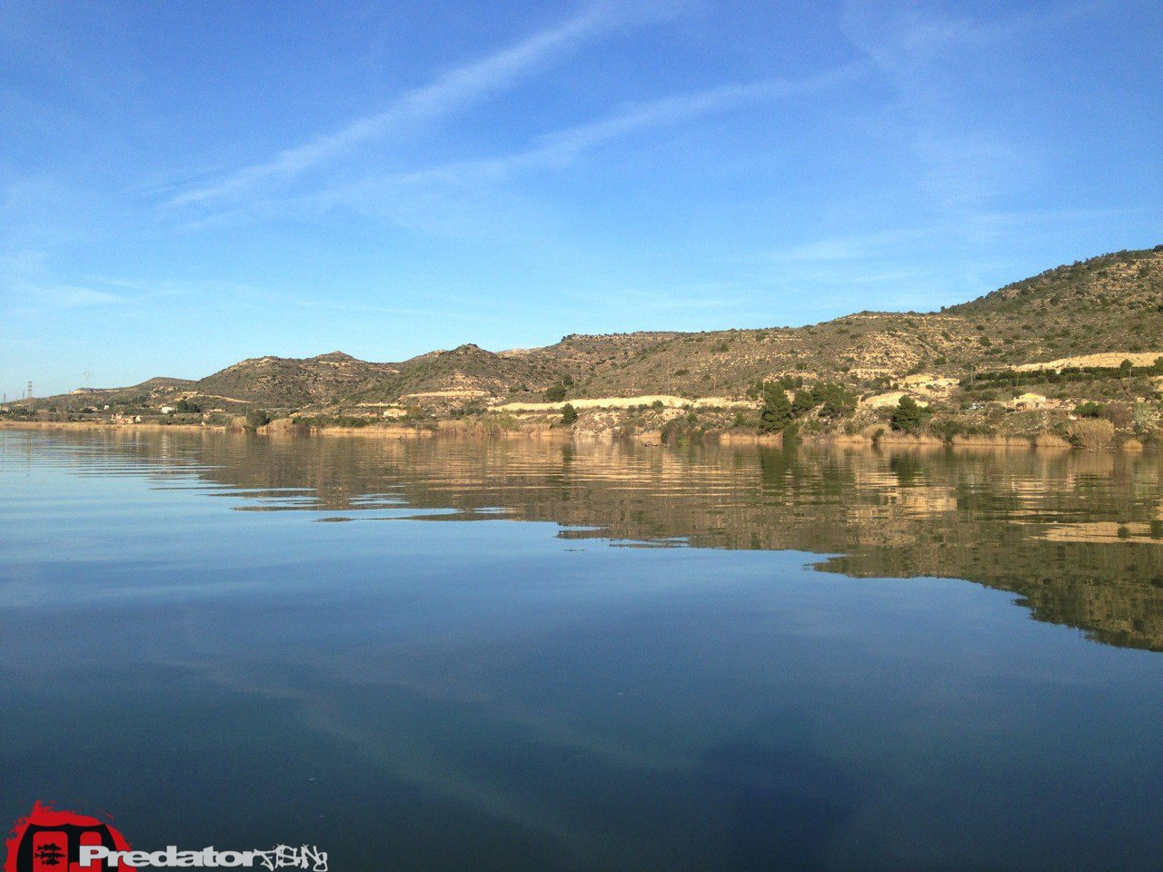 Zander Barsch und Wels am Rio Ebro in Spanien