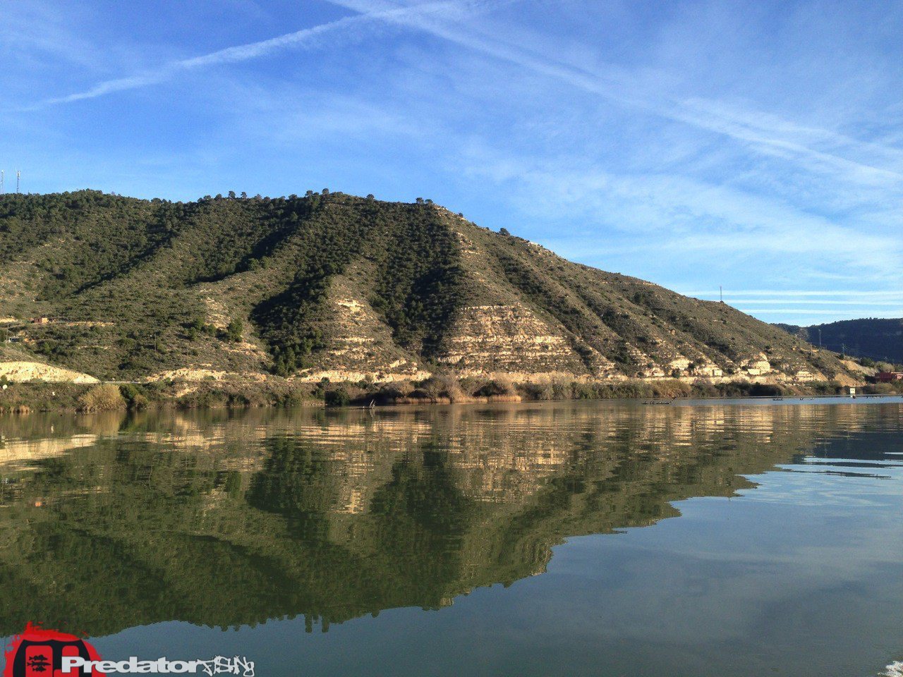 Zander Barsch und Wels am Rio Ebro in Spanien