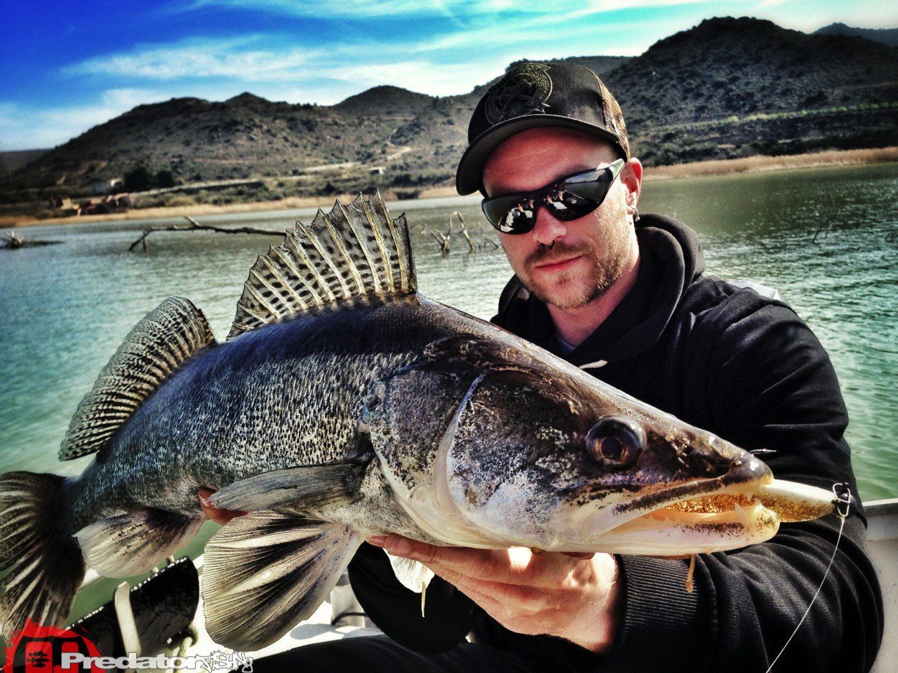 Zander Barsch und Wels am Rio Ebro in Spanien