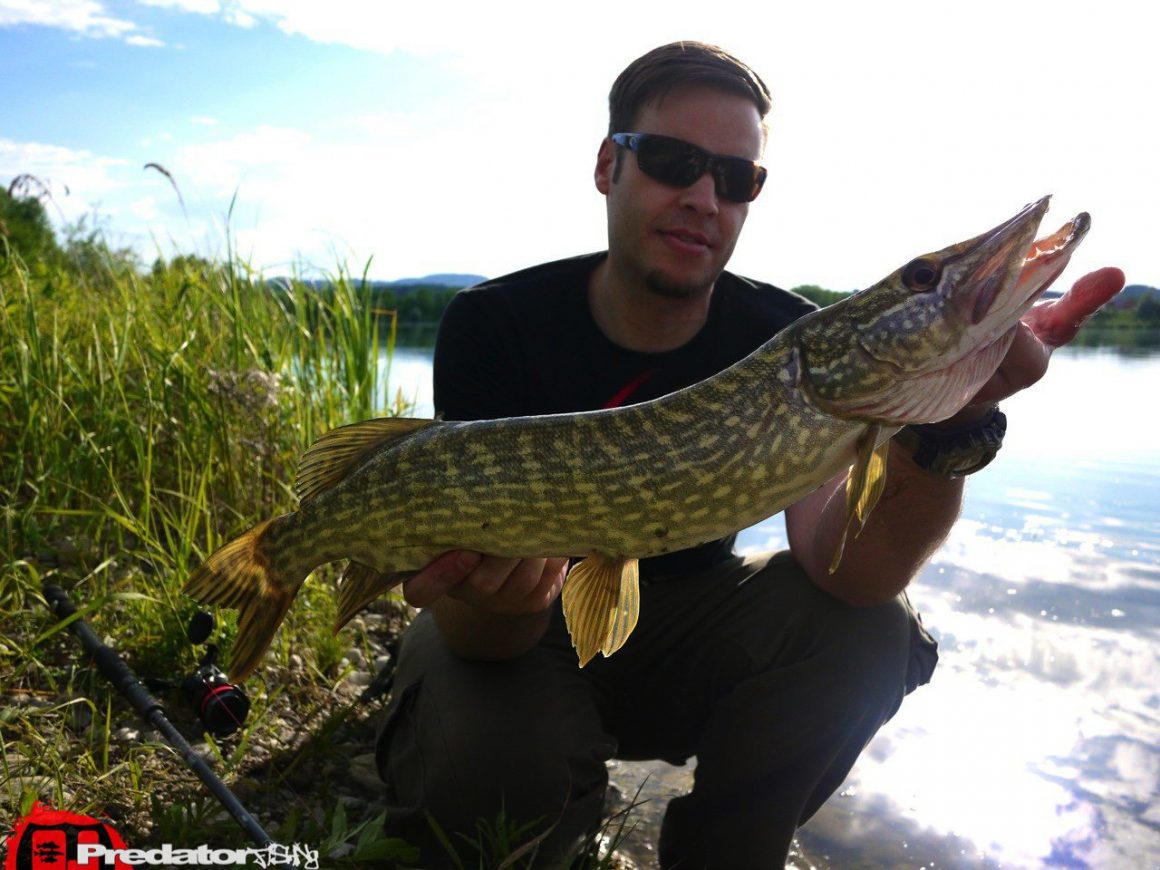 ASSO Ultra Low Stretch