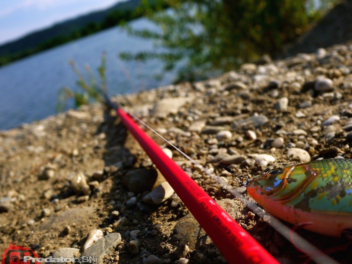 AIRRUS KW Nano Fusion- Elite Series