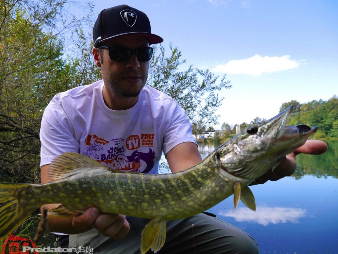 Dicht am Fisch DAF T-Shirts