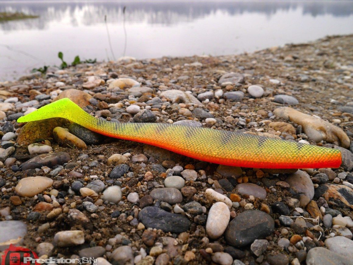 Langer Stinger fuer große Gummikoeder