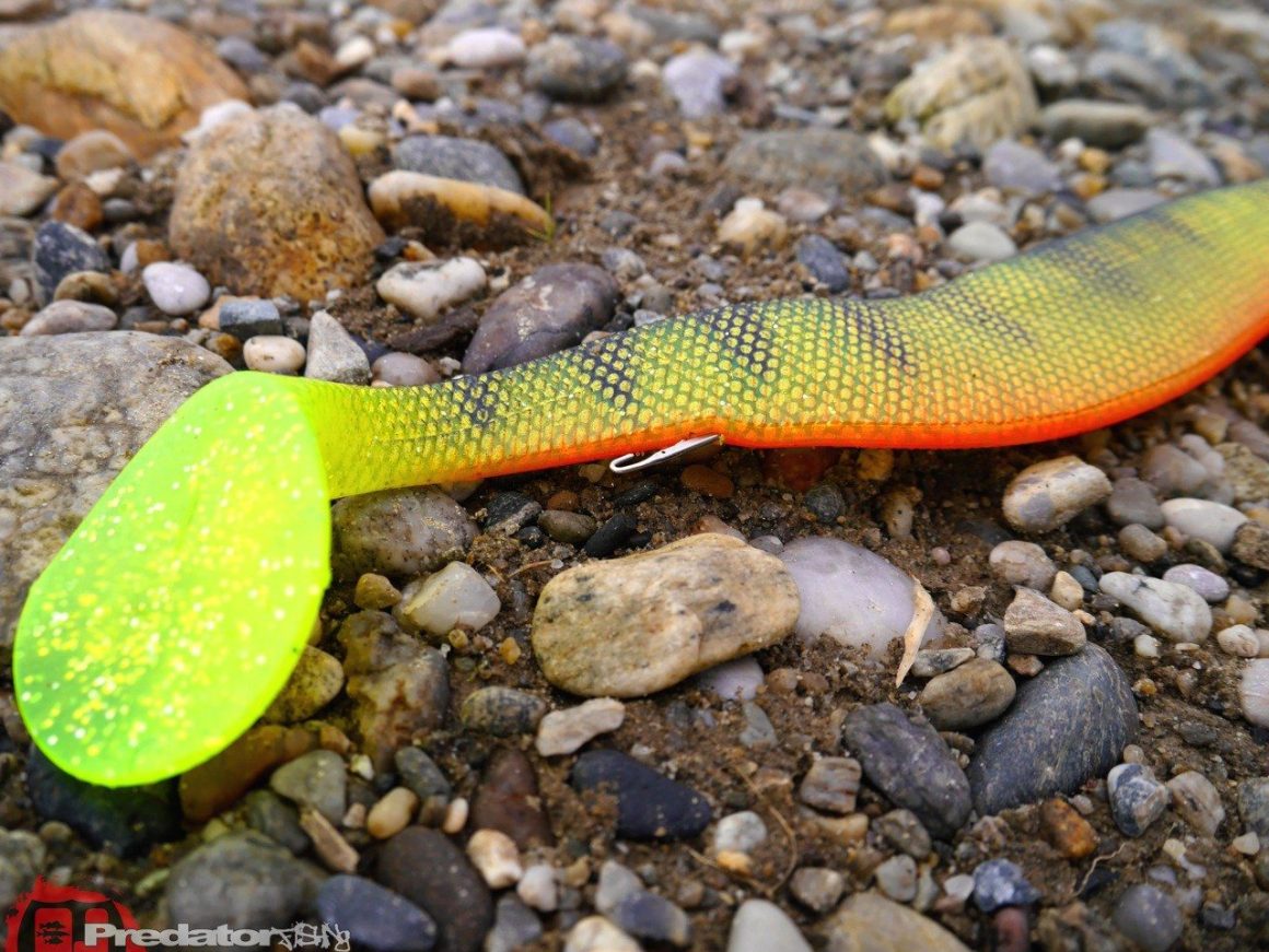 Langer Stinger fuer große Gummikoeder