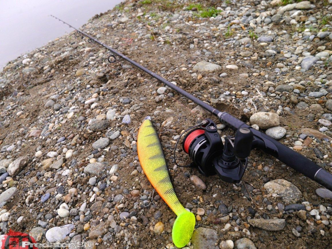 Langer Stinger fuer große Gummikoeder