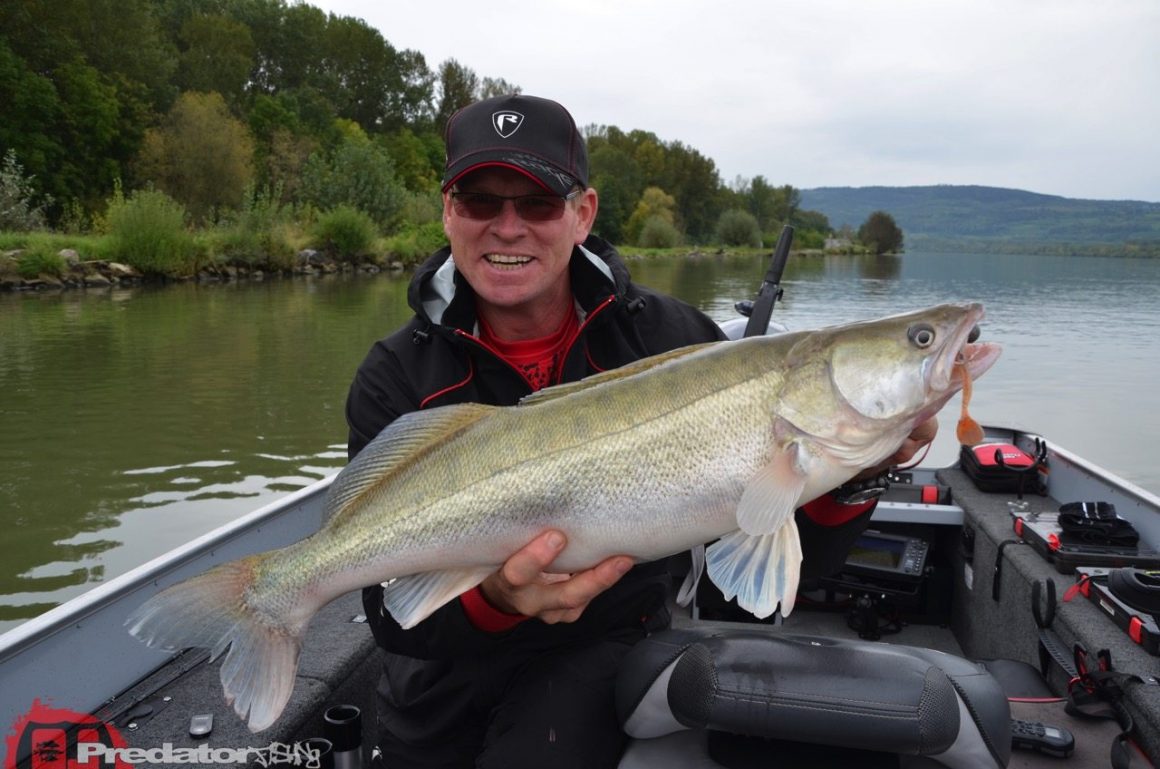 Selektiv mit XL-Raubfischkoedern
