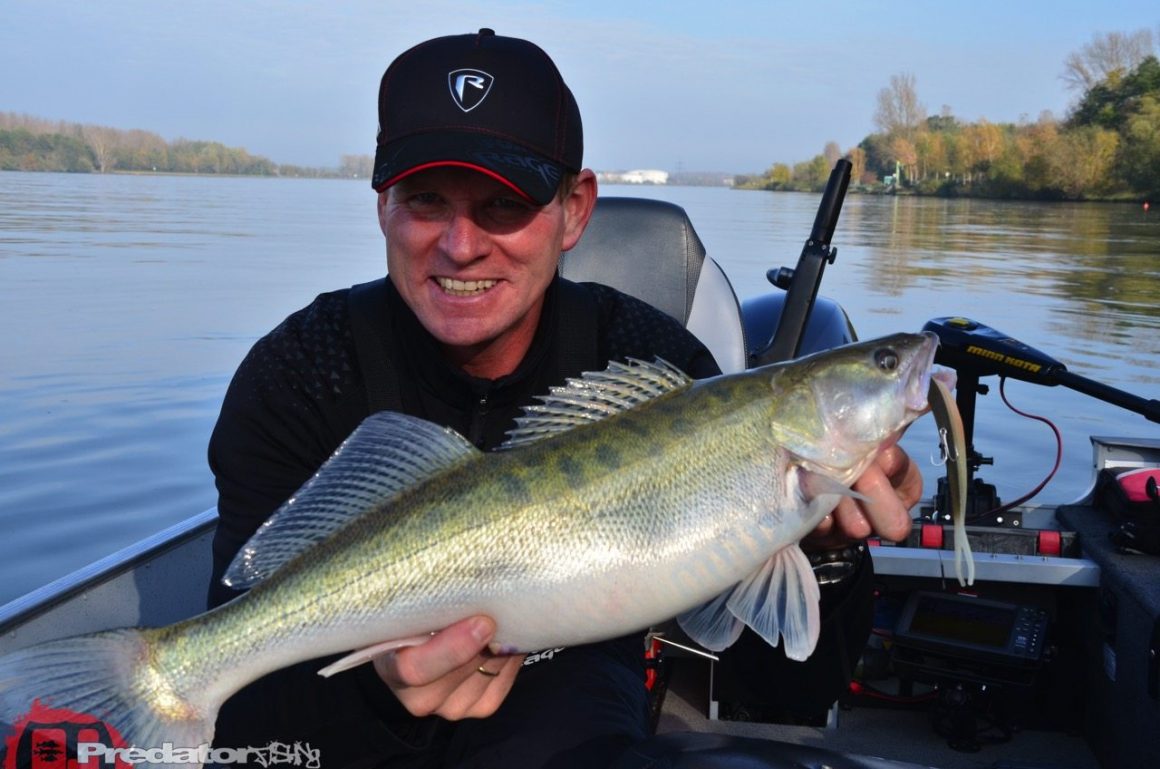 Selektiv mit XL-Raubfischkoedern
