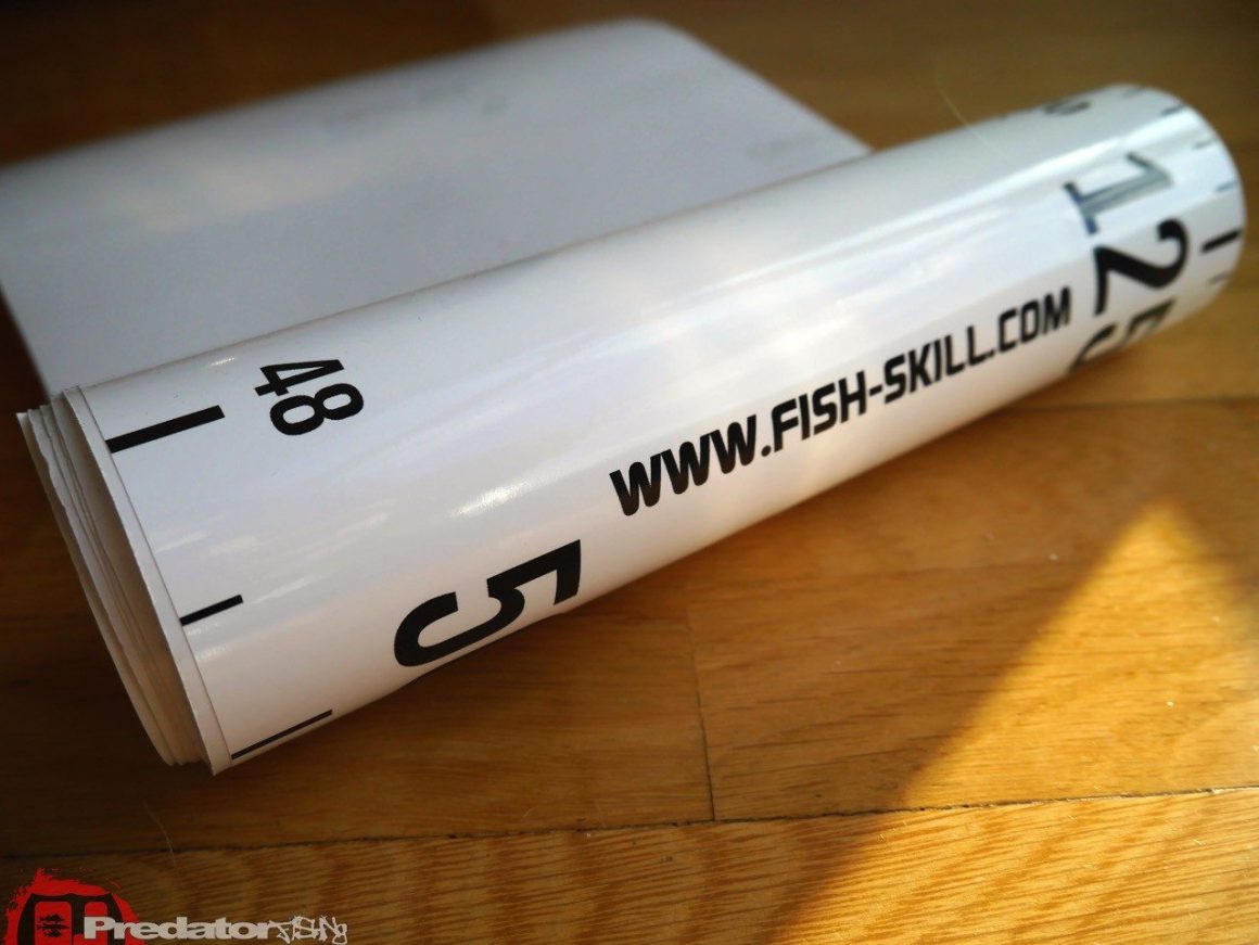 Fish-Skill-Hechtrutsche Gewinnspiel