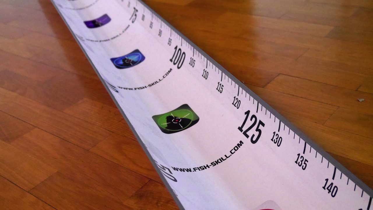 Fish-Skill Hechtrutsche