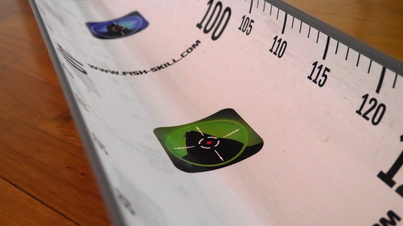 Fish-Skill Hechtrutsche