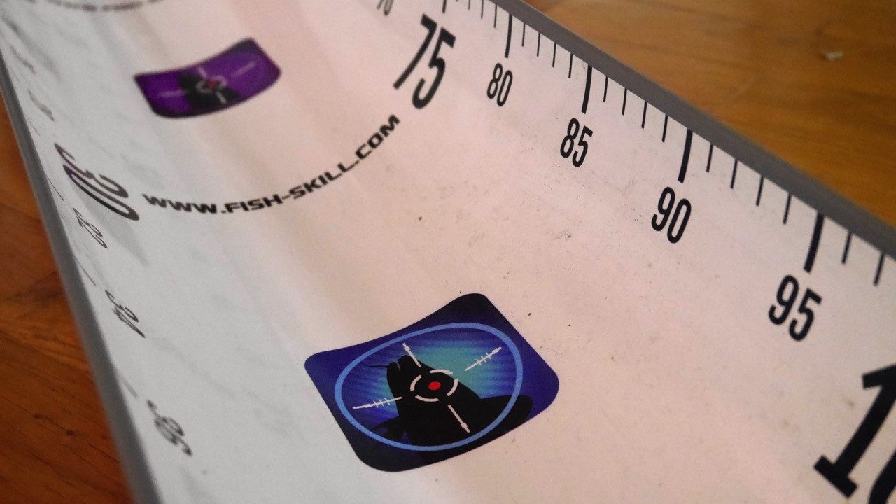 Fish-Skill Hechtrutsche